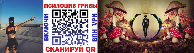 где найти   Нарьян-Мар  Галлюциногенные грибы Psilocybine cubensis 